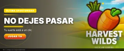 Dragon Hatch Casino promotional banner